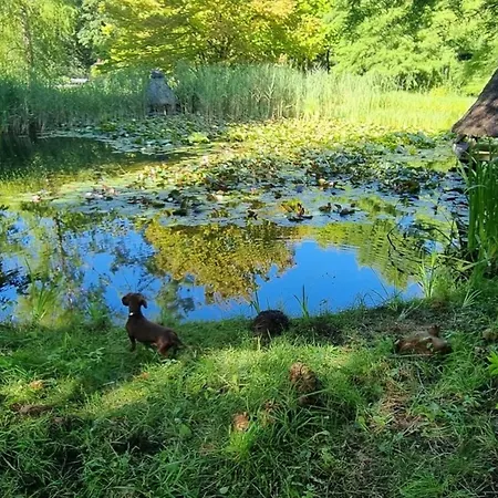 Kalina Am Dieksee Apartamento *